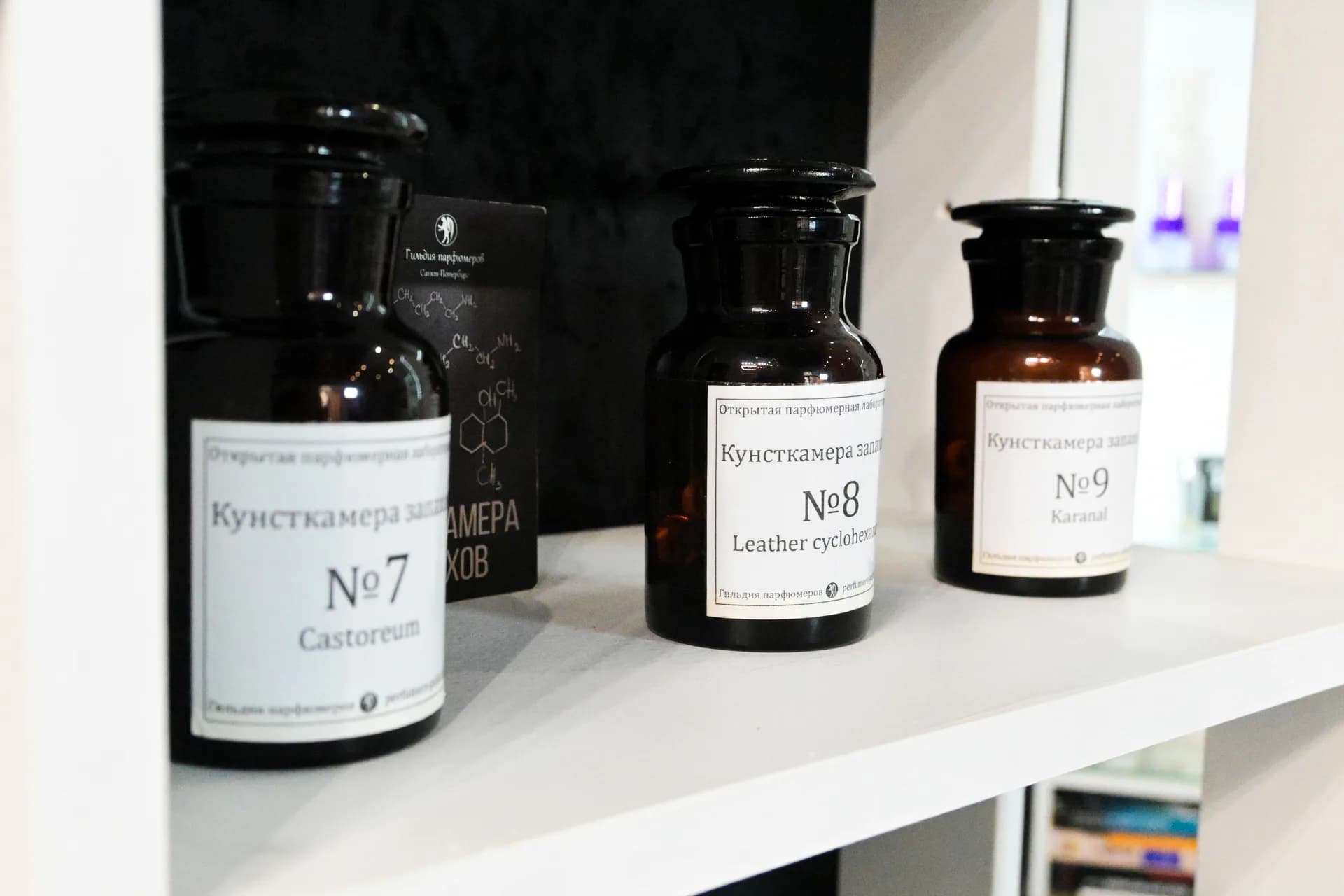 Kunstkamera of Smells